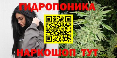 СК Ирбит