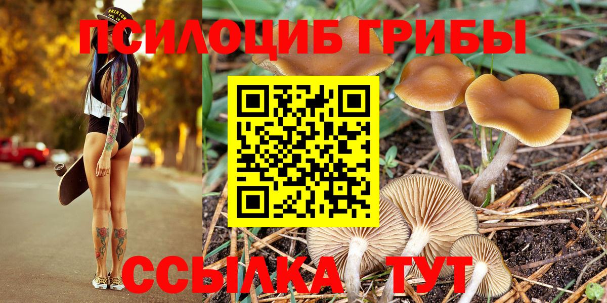 Канск  Галлюциногенные грибы Magic Shrooms  Галлюциногенные грибы Magic Shrooms  Вход с VPN 